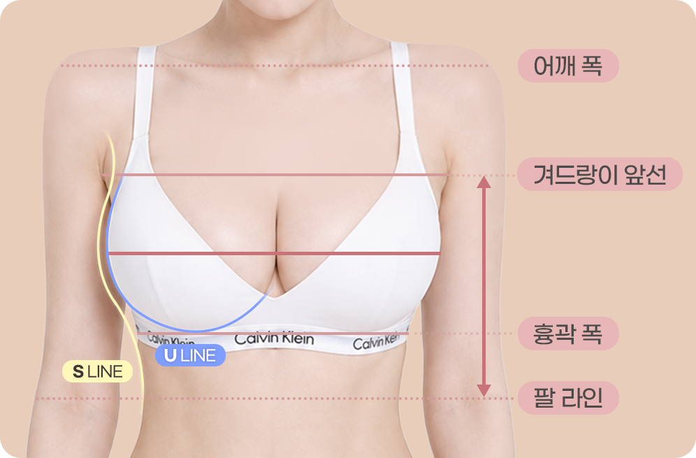 디에이 슬렌더 가슴성형 - 바디 프레임 설계